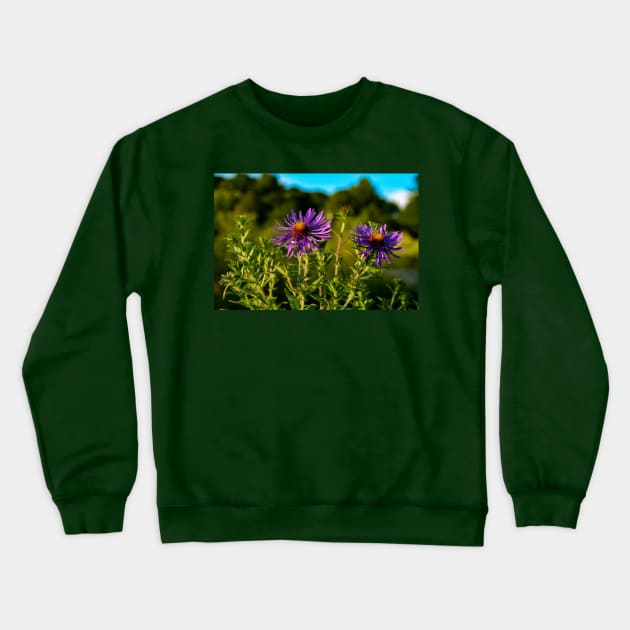 Asters Crewneck Sweatshirt by Rob Johnson Photography